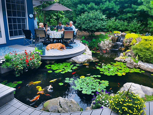 Backyard Water Garden